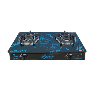 Bếp gas đôi Bluestar NG-679V 